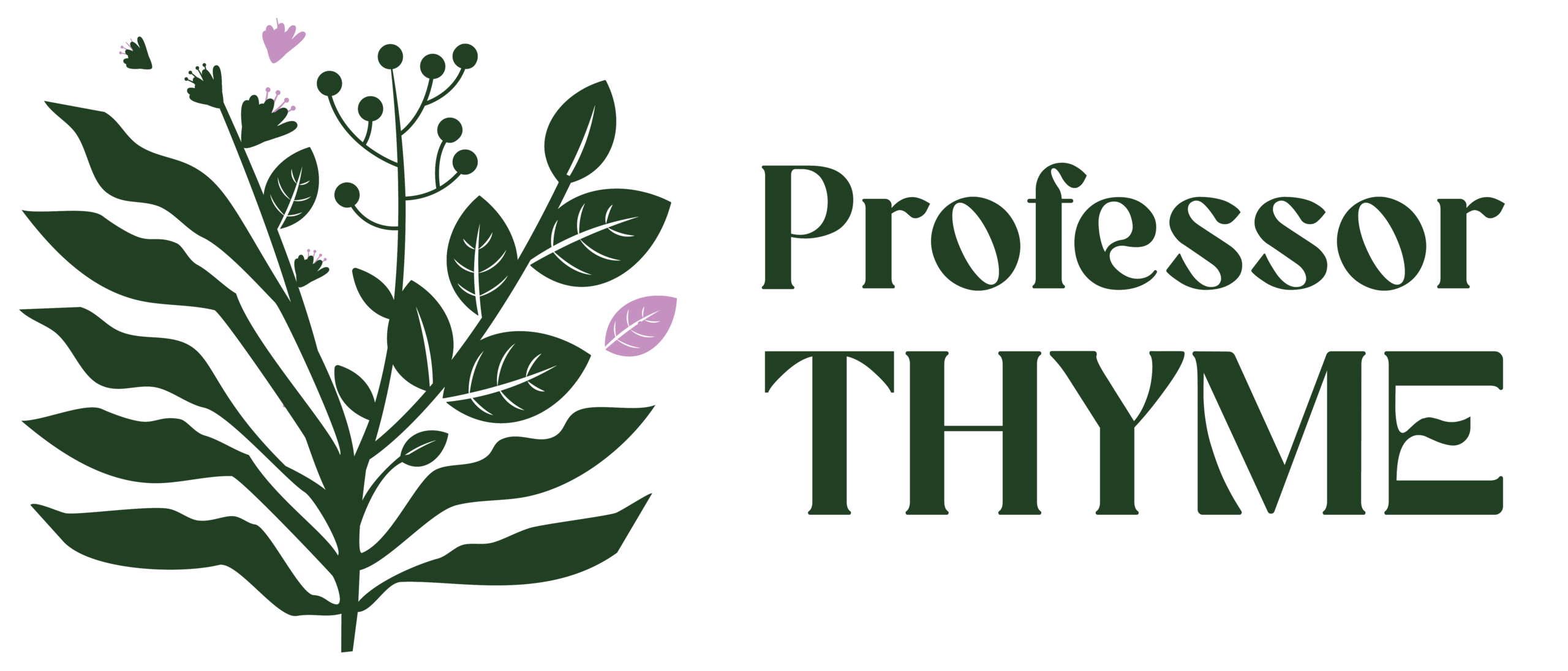Professor Thyme